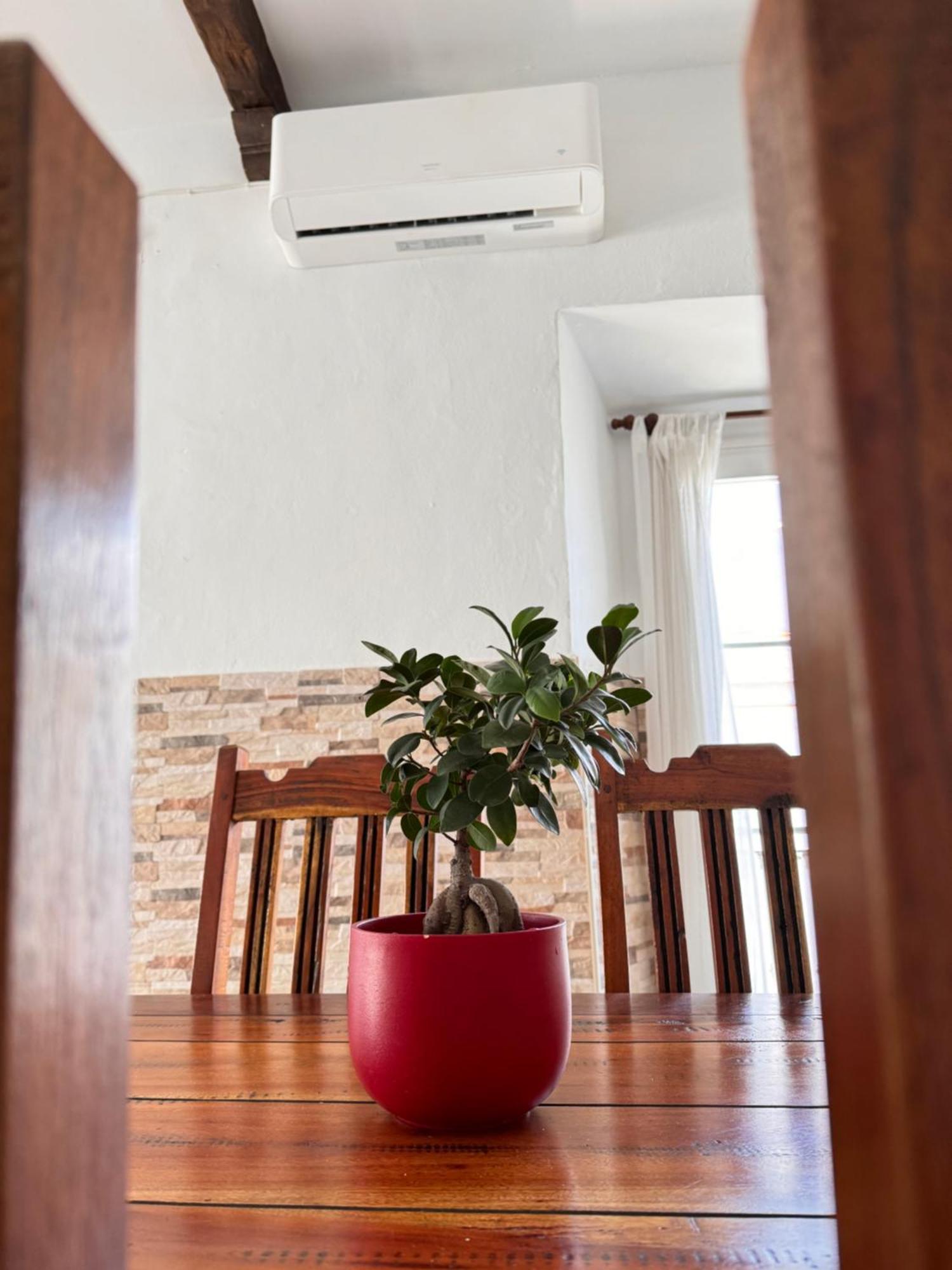 Cabildo 2 Apartment ซันลูการ์เดบาร์ราเมดา ภายนอก รูปภาพ